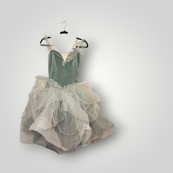 Weissman Dresses & Skirts - Weissman Dance Costume 14673 Sage Medium Adult Ballet Tutu Tap Velvet Pageant